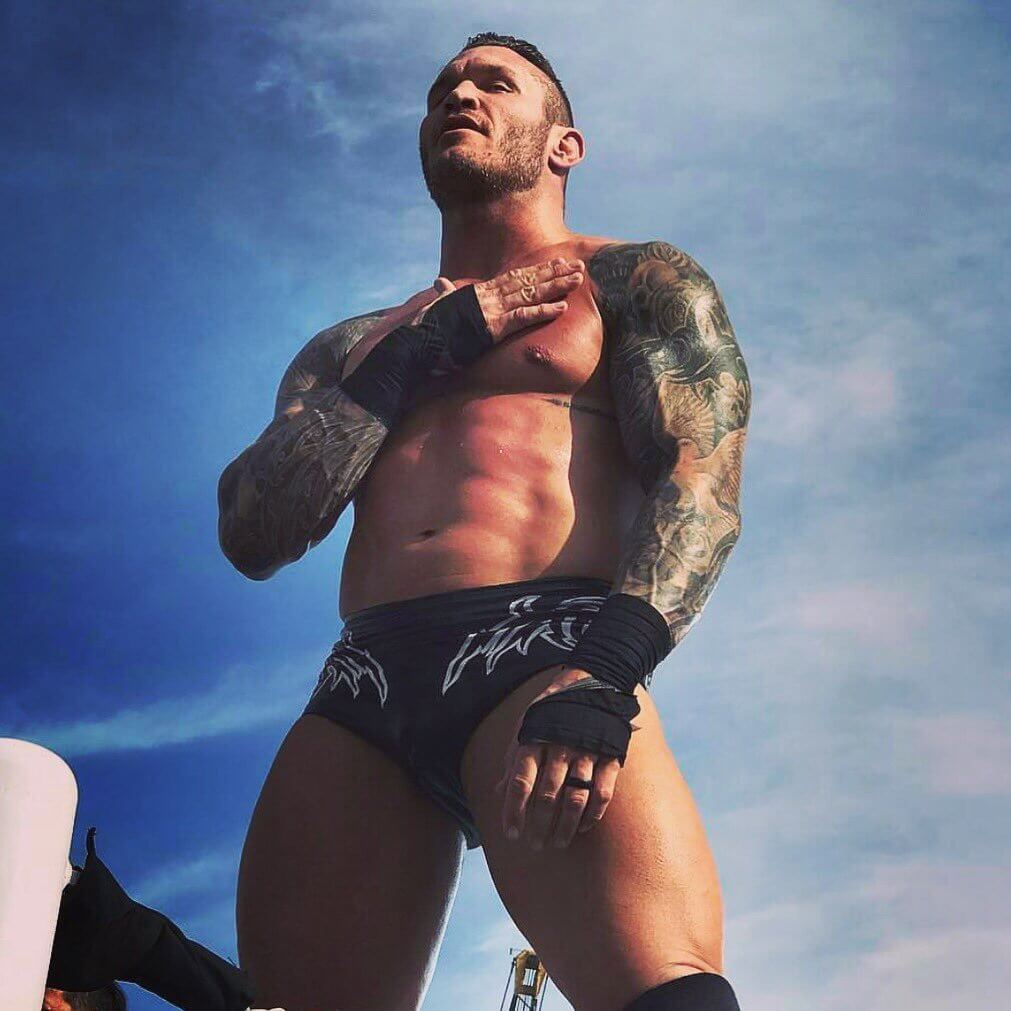 Randy Orton Biography • American Professional Wrestler